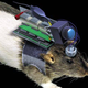 Image for article titled Year of the Ratbot